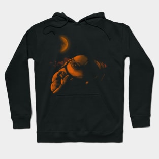 Orange Turtle Hoodie